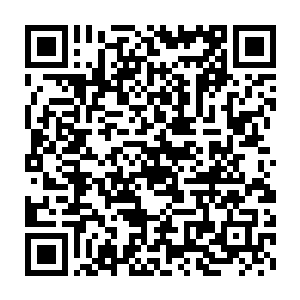 沈婉晴手里的帕子在沈婉瑜踏进大殿的那一刻开始就快被她蹂躏坏了二维码生成