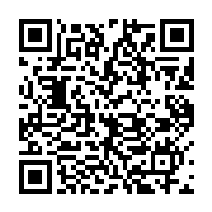 沈婉瑜和商蕊回到侯府的时候天色已经微微的有些暗了二维码生成