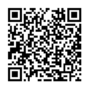 沈婉瑜的大师兄司徒景浩看向床榻上昏迷的小师妹二维码生成