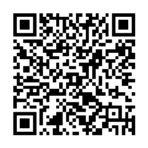 沈婉瑜站在商蕊的身边将她们的神色都看在了眼中二维码生成