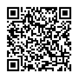 沈婉瑜纵然和西宁公主只是在四国大比的时候有过接触二维码生成