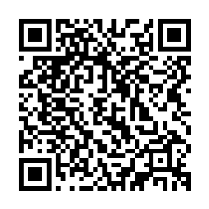 沈婉瑜要为沈雨凝请宫中的教养嬷嬷的事情很快就在侯府传开了二维码生成