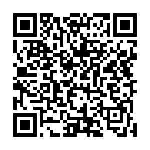 沈子烈和周瑜明都不由自主的被这一系列图片给吸引住了二维码生成