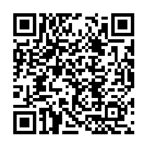 沈子良内心深处对夏云杰虽然有股无法消弭的恐惧二维码生成