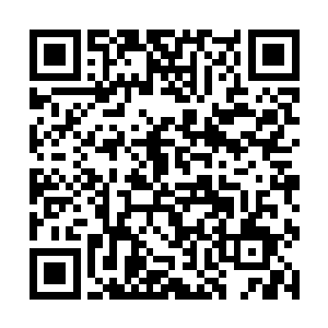 沈家先祖法至无言的情况无异于是触及了当年的真相二维码生成