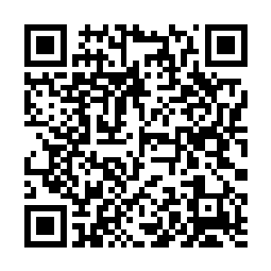 沈家家主做梦也不会想到他有一个这么争气的儿子啊二维码生成