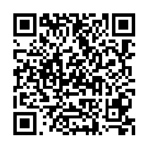 沈家的倒退速度要比其他几大世家来的快速的多二维码生成