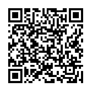 沈寒星看着自己所爱的人竟然一脸愤怒的看着自己二维码生成