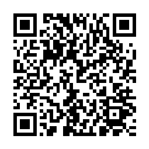 沈扬想起这回事儿却被当时心情阴郁的墨修尧毫不犹豫的拒绝了二维码生成
