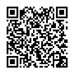 沈福也是能够清晰的感觉到自己的脸上传来的疼痛二维码生成