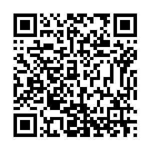 沈苍生那一双七彩巨手一次又一次的扑在金色巨门之上二维码生成