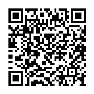 沈苍苍终究是被定国公和身边的人保护的太好了二维码生成