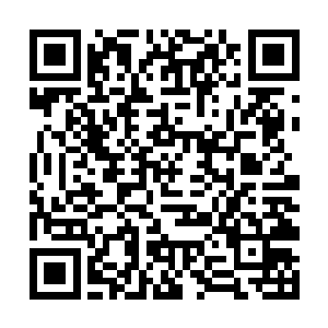 沈醉花和凌一剑四个人都将火热的目光望向了乘万里二维码生成