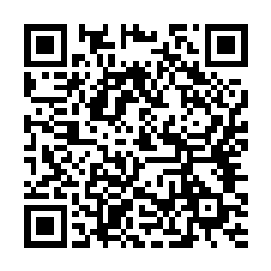 沈长业的部队在这峡谷之中先后遭遇了多达十一次的二维码生成