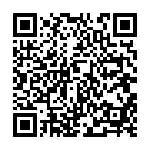 沈飞手中的一大捧玫瑰花不知道吸引了多少女孩子二维码生成