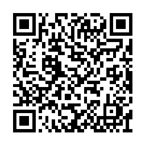 沈馥……坂本龙一……马克西姆……李闰珉……二维码生成