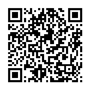 沈馥留在美国参加6号在Nashville举行的格莱美提名晚会二维码生成