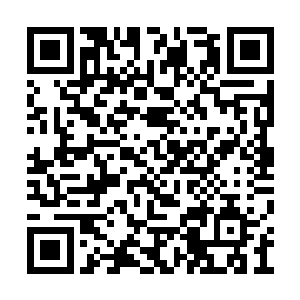 沉寂了许久的冥树在那么一瞬间开始产生异动了二维码生成
