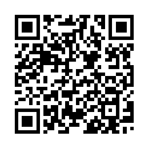 沉浸在已经平静下来的数据海洋中二维码生成