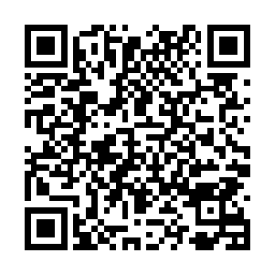 沉睡了好几年的小白狐似乎感受到了逍遥居的气息二维码生成
