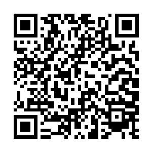 沉稳内敛却又不失节奏的表演风格赢得了无数掌声二维码生成