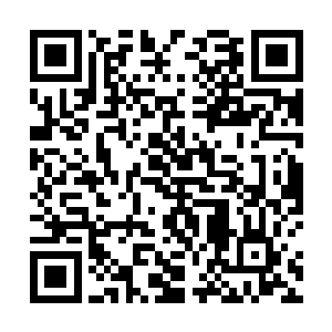 沐随风和沐熙然一再要她前来的目的她现在全都知道了二维码生成