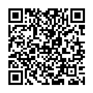 沒想到他们倾注了不少心血的这股势力还沒有成型二维码生成