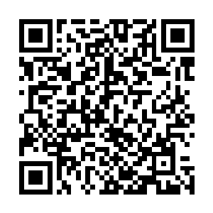 沒想到天翼神虎给他们的那些宝珠竟然还有如此强大的功效二维码生成