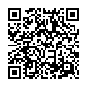 沒想到还跑出來两个不知死活的瘪三來找他麻烦二维码生成