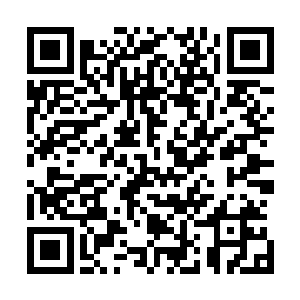 沒错 只要不是半步元婴以及元婴大能 我绝不插手干预 二维码生成