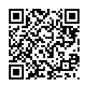 沙小凡突然放开了拽着许紫烟衣角的手二维码生成