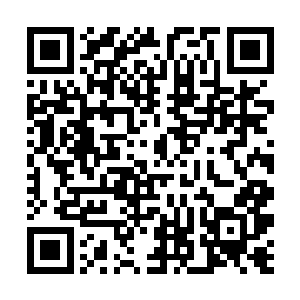 沙漠上的族群在帝国的法令威慑下不再互相残杀的话二维码生成