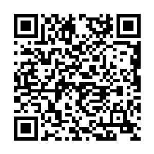 沙狼就成了第一个有幸抱未来九原第二代大帝的人二维码生成