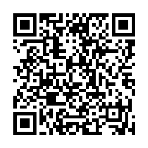 沙罗曼蛇军团的每个战士都非常刻苦的训练战斗力和纪律二维码生成