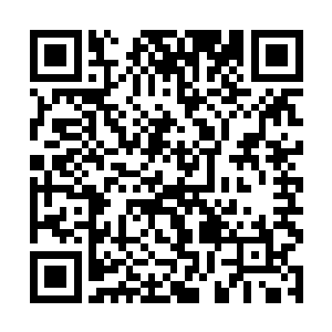 没……没打大姐头你的主意啊……我们只是随便……二维码生成