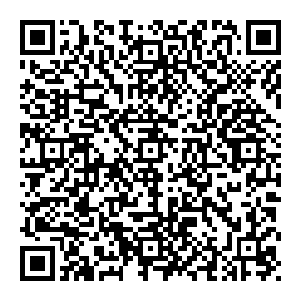 没……没有十几万呐……之前是有的……后来不是给越州的那承天门要去了一半么……加上一些死了的……就没有那么多了二维码生成