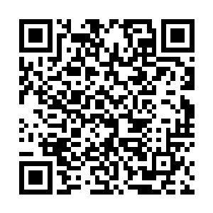 没一会儿就拜托小毛能否给她们也送点儿大补汤之类的二维码生成