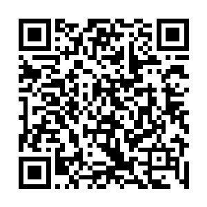 没一种能力的出现对其他任何一个x能力者是那么的困难二维码生成