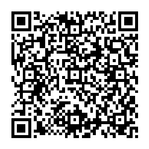 没了翻译贝海这边虽不知道到了什么价不过买家台阶上不断举起的双手贝海还是看的到的二维码生成