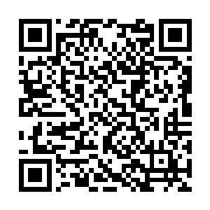 没人相信你可以变成一个货真价实的……联邦英雄二维码生成