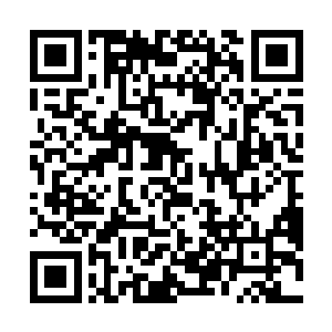没人看到门外也有一个人踮起脚尖迅速的返回了1号画室二维码生成