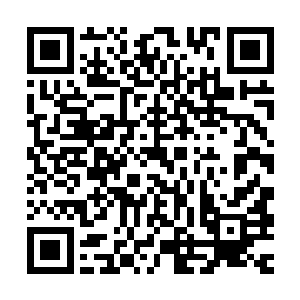 没人知道的是随着这道威压极为强大的虎啸声在灵韵山脉传荡时二维码生成