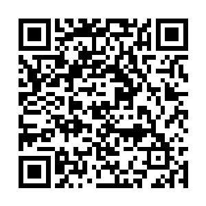 没人能想到叶卡琳娜居然会静悄悄的从隔壁州入境二维码生成