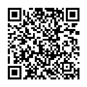 没人脑子有病带着枪去卢浮宫的厕所里杀一个护士二维码生成