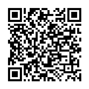 没从守林人师父鬼魂那里得到有用讯息另加已然岔开话题二维码生成