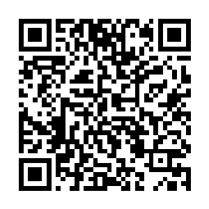 没准到时候和东佛不念决战的时候报销了呢谁知道呢二维码生成