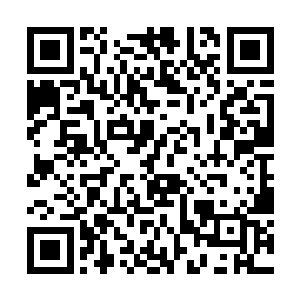 没准是要填坑呢……李老前辈也并不知道里面的情况二维码生成