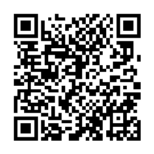 没准能看到一个有着释迦摩尼头型的猪头出现在镜子当中呢二维码生成