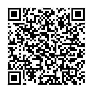没办法去顾大柱国那边凑热闹混熟脸的李家人都开始望向这些背影二维码生成