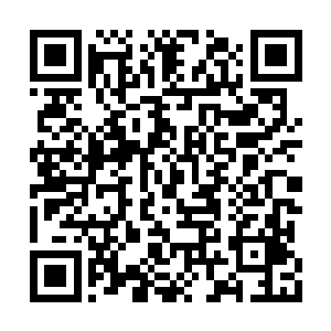 没办法瞬间瓦解这样一个拥有几百名成员的武装二维码生成